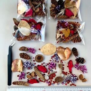 Può includere: Quattro piccoli sacchetti pieni di un mix di petali di fiori secchi rossi e viola, pigne, ghiande e piccole perline di legno. I sacchetti sono su una superficie bianca con un righello e delle pinzette.