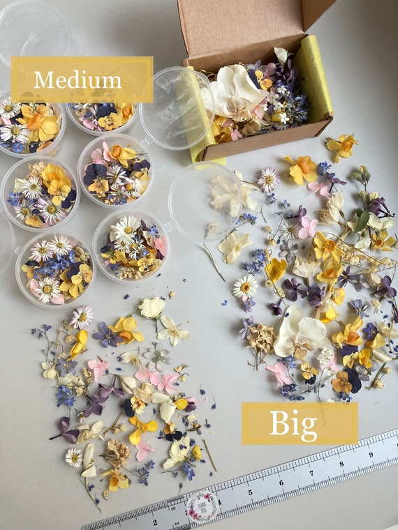 Dried Small Flowers for Resin Tiny Dried Flowers for Resin Etsy