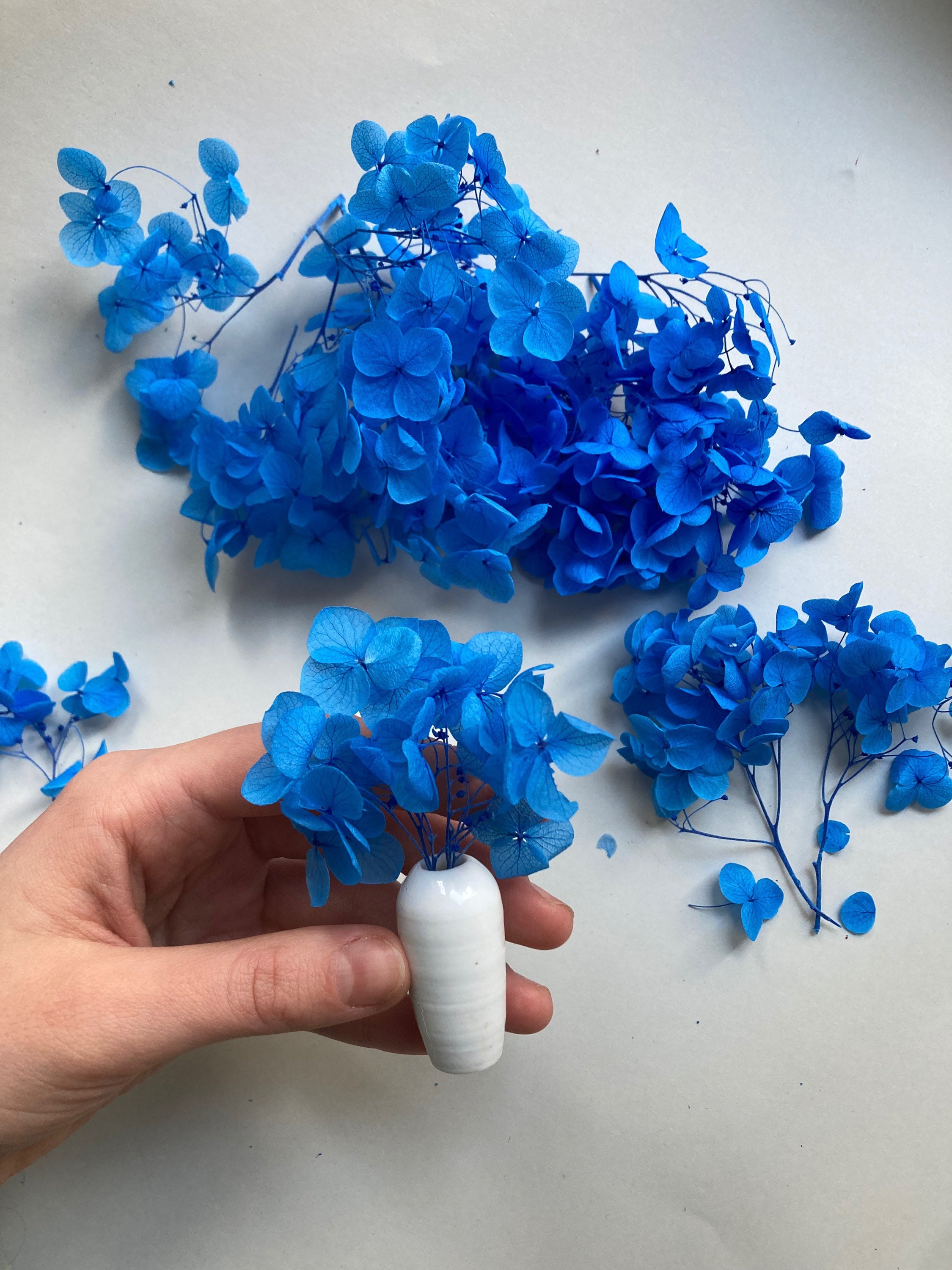 Dried Hydrangea Dried Blue Hydrangea Real Dried Flowers for Etsy