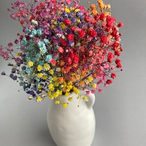 Colorful Gypsophila bouquet Natural Baby’s breath Rainbow wedding bouquet ColorfuDried baby’s breath for resin jewelry Gypsophila home decor