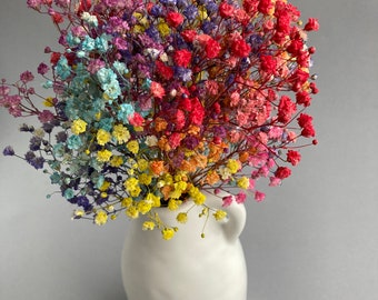 Colorful Gypsophila bouquet Natural Baby’s breath Rainbow wedding bouquet ColorfuDried baby’s breath for resin jewelry Gypsophila home decor