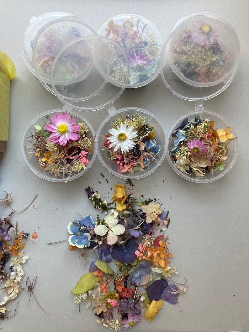 Dried Small Flowers for Resin Tinest Dried Flowers for Resin Etsy