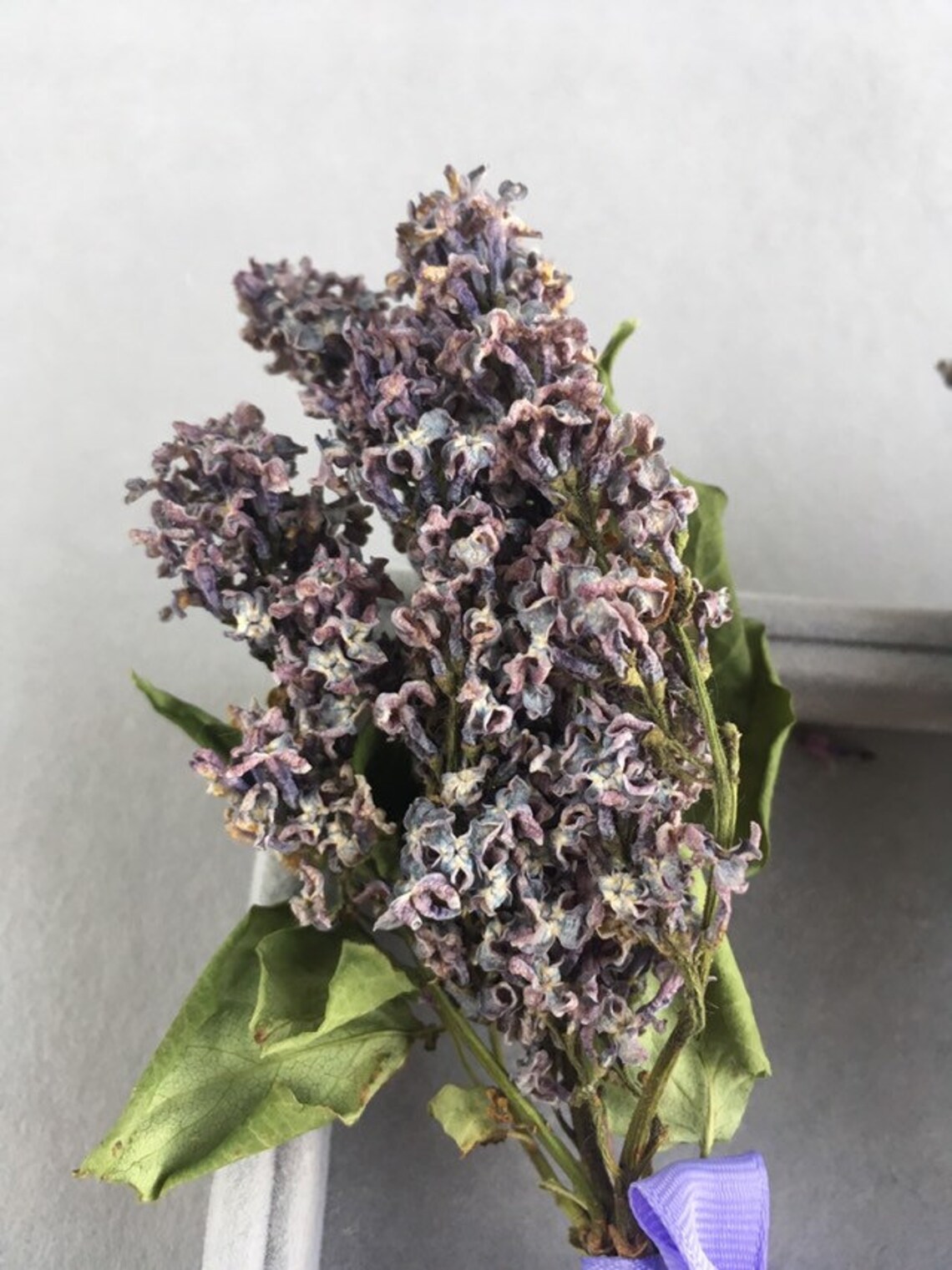 Dried Lilac Flowers Small dried flower bouquet Purple lilac Etsy