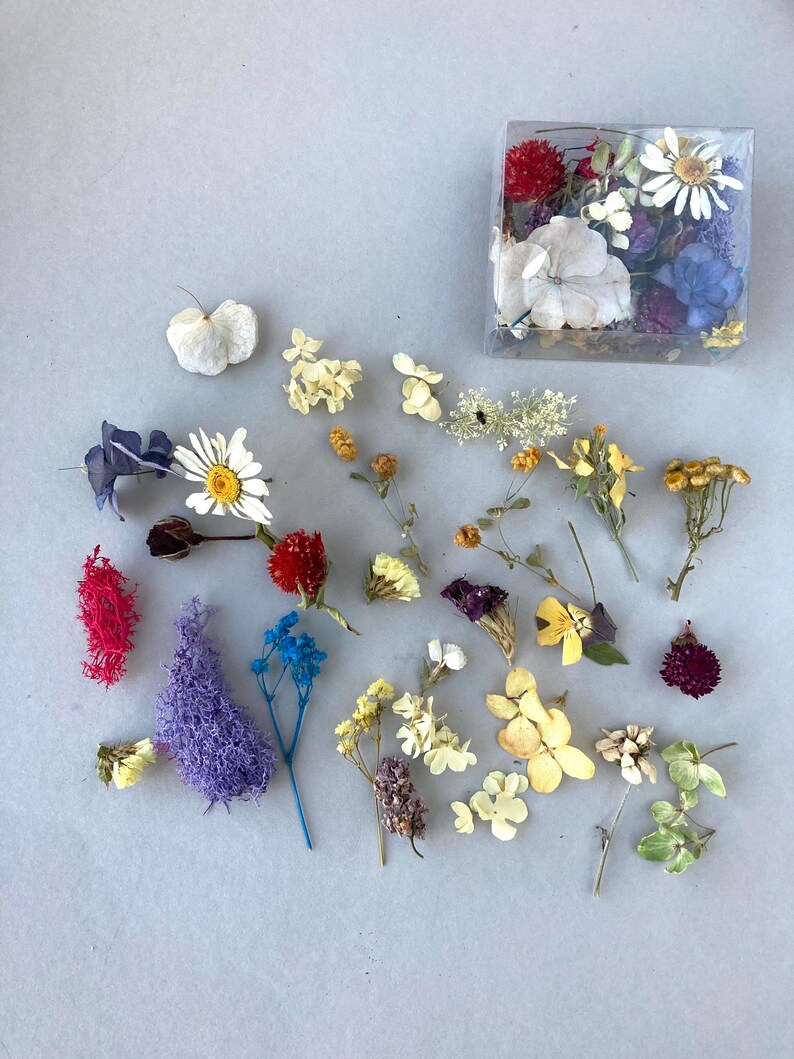 Dried Flowers Mix Tiny Flowers for Resin Dry Flowers for Etsy