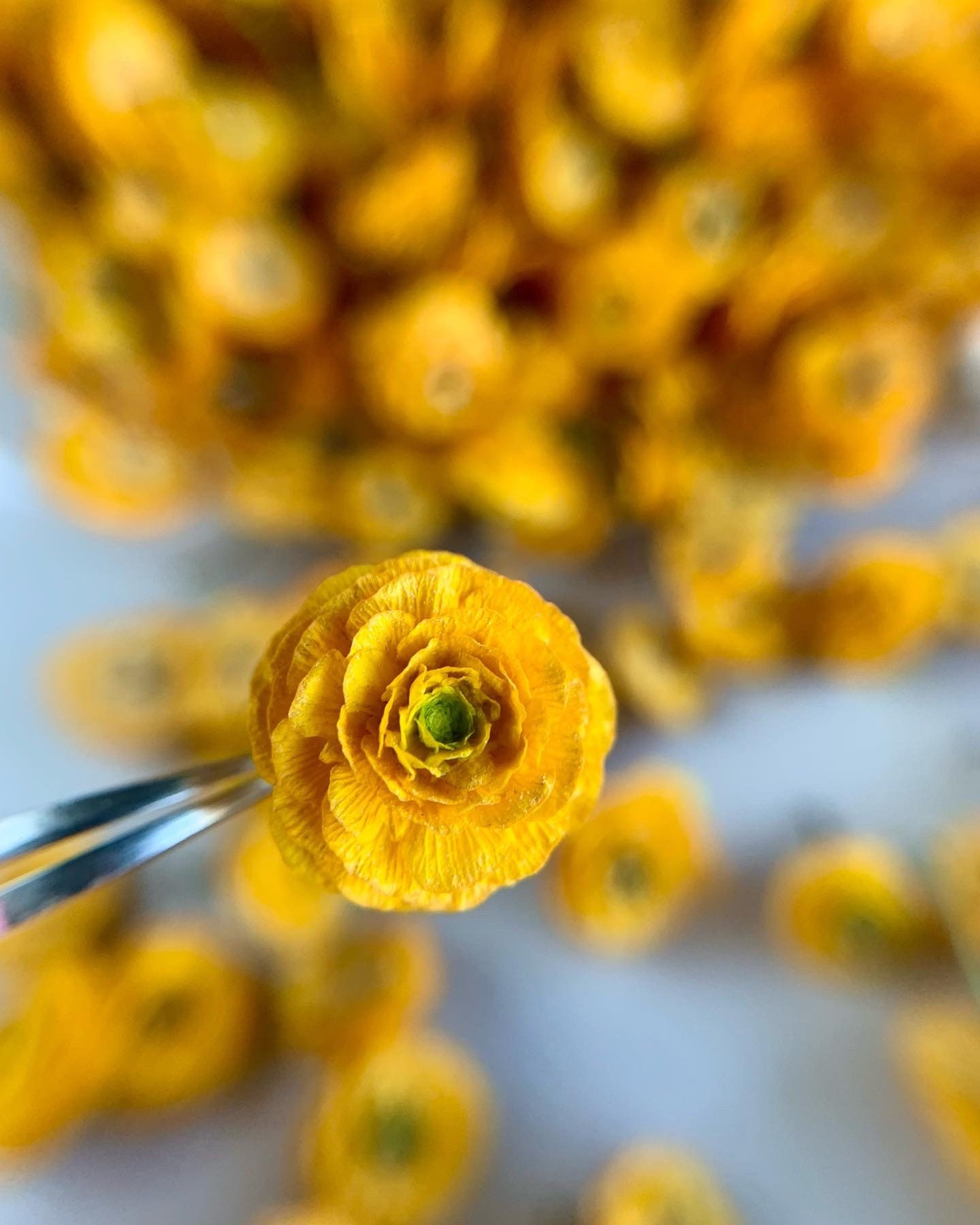 Dried Tansy & Ranunculus Bouquet