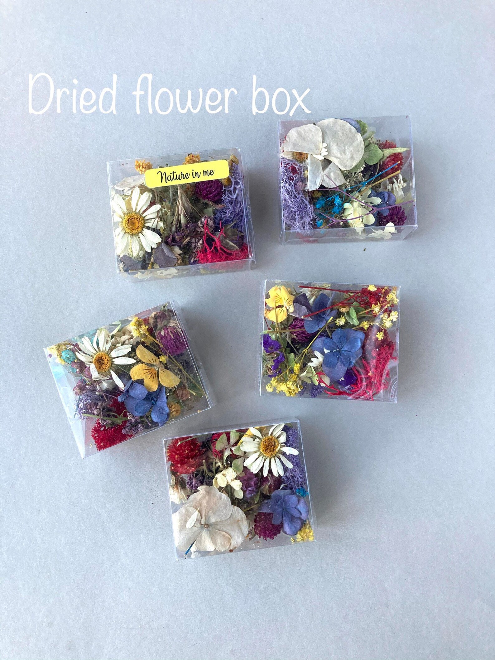 Dried Flowers Mix Tiny Flowers for Resin Dry Flowers for Etsy