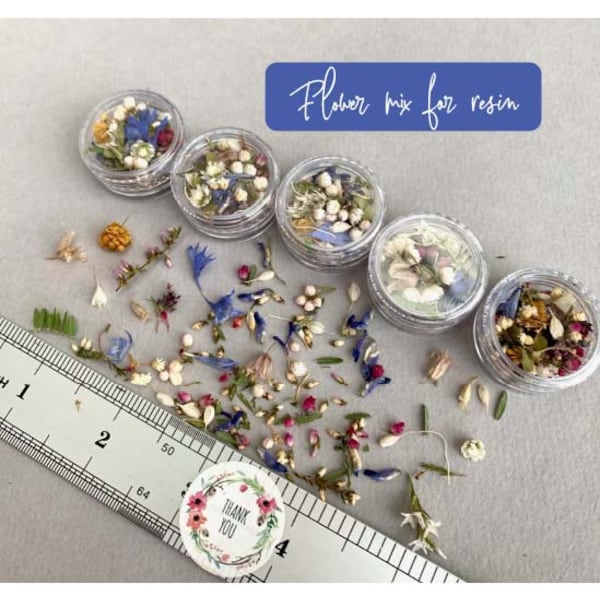 Dried small flowers for resin Tinest dried flowers for resin jewelry Resin supply Mini garden Different flower mix for resin Blue purple red