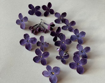 Lilac dried flowers Purple pressed flowers 10/20/30 pcs Flowers for crafting Pressed small flowers Lilac dry flowers Epoxy resin supply Boho
