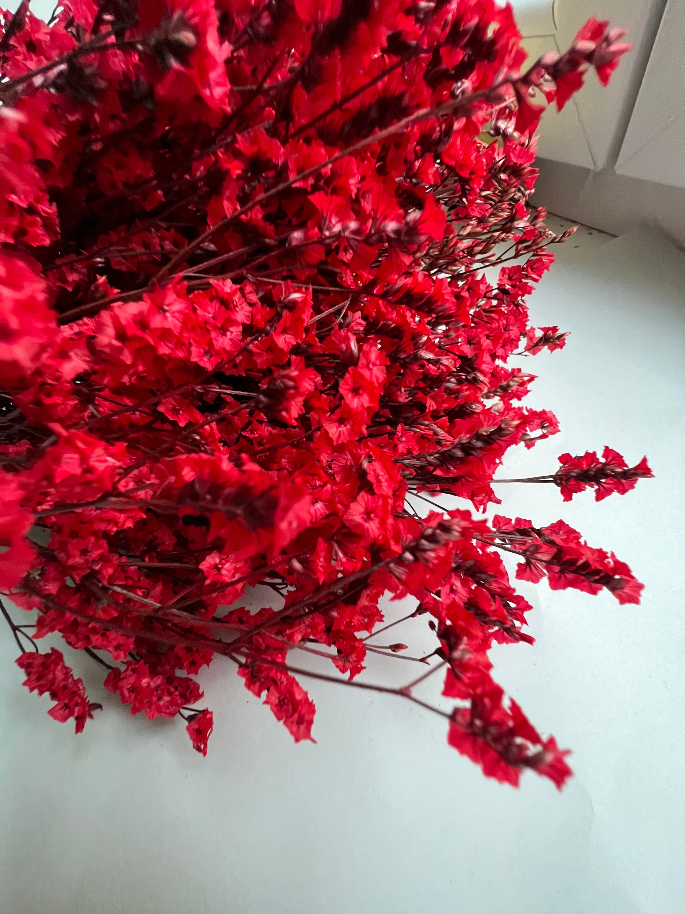 Flores Secas con Tallo Rojas para Resina - Megabyte Papelería, C.A.