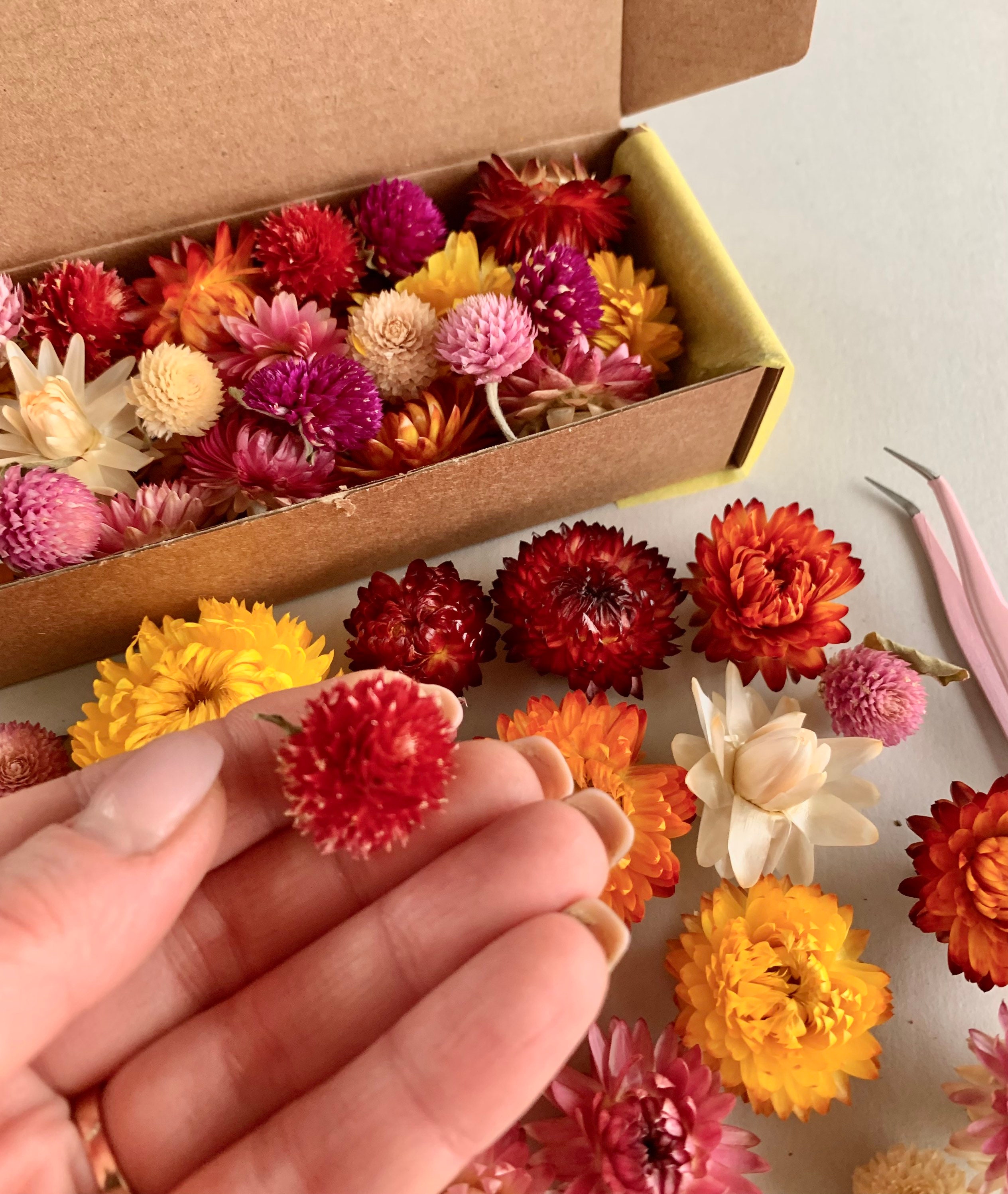 Tiny Flowers for Resin Dried Pink Gomphrena Strawflowers Dry Etsy