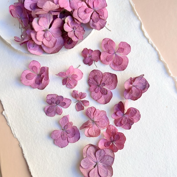 Tiny dried flowers  Dried purple hydrangea Real dried flowers For resin jewelry making Wedding flowers Preserved Real hydrangea Light pink