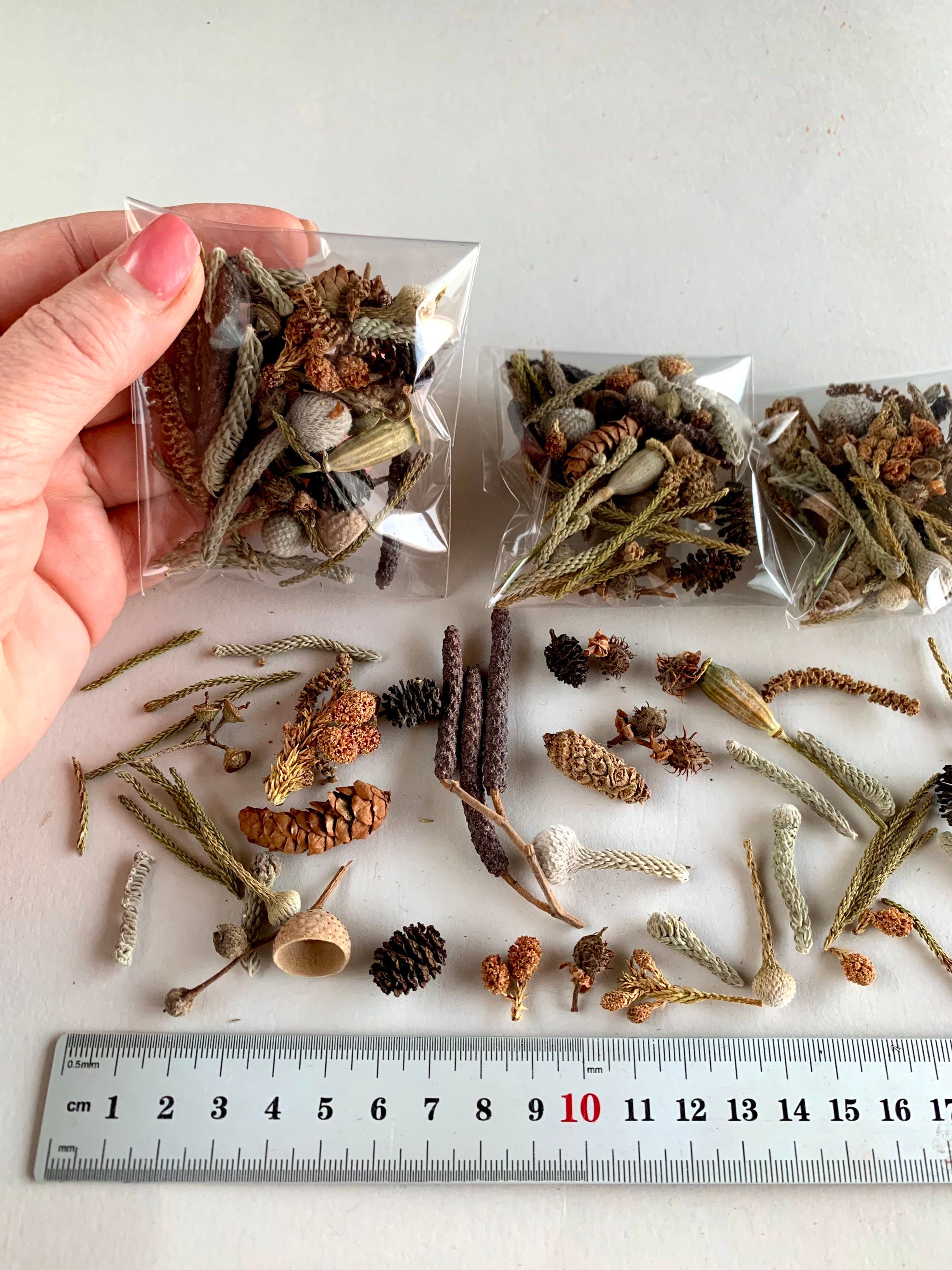 Dried Flowers for Resin, Pressed Flowers, DIY Natural Plant Specimens, Dried  Flowers for Nails, Resin Fillers, Handmade Herbarium Decor 