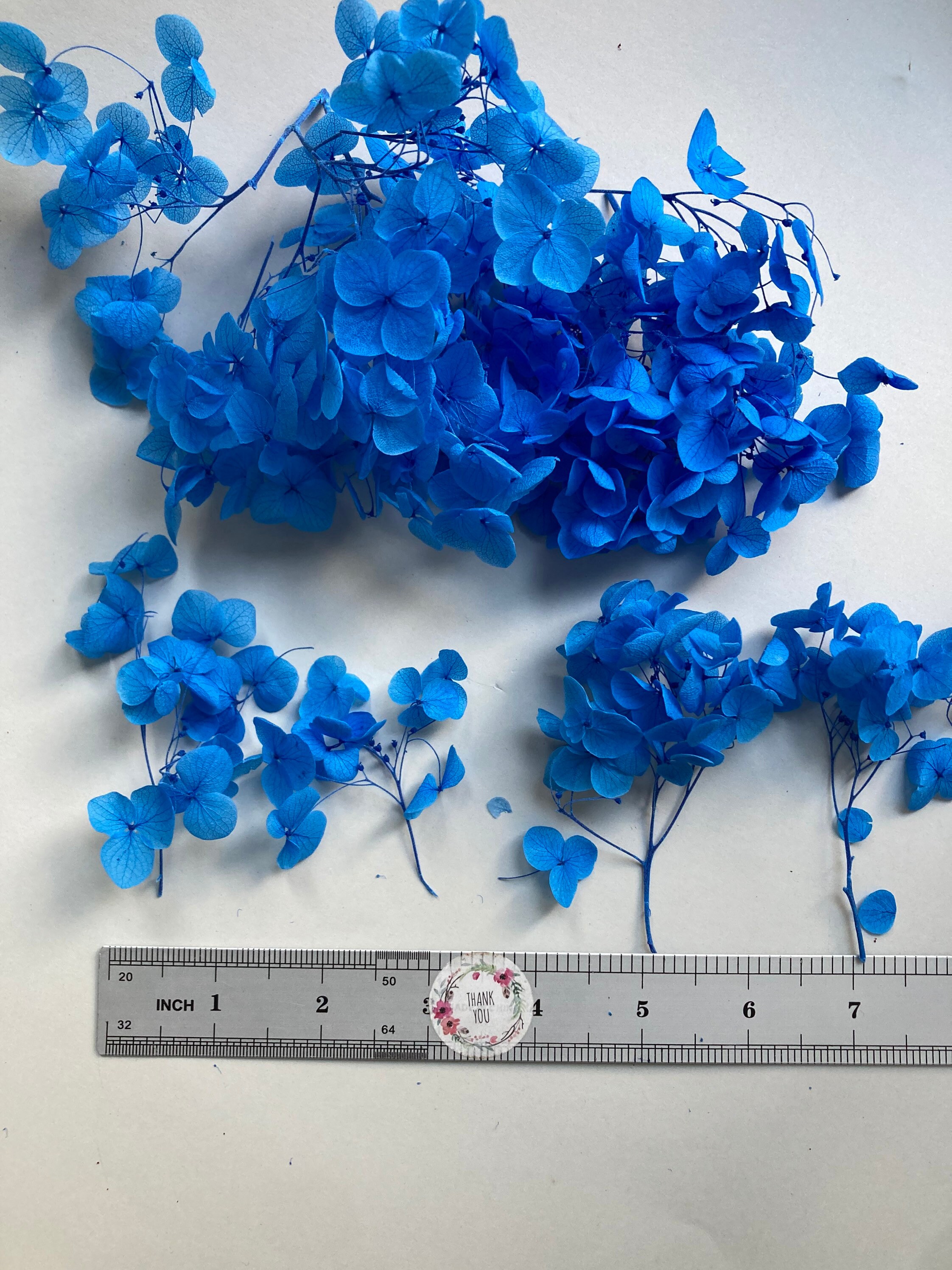 Dried Hydrangea Dried Blue Hydrangea Real Dried Flowers for Etsy