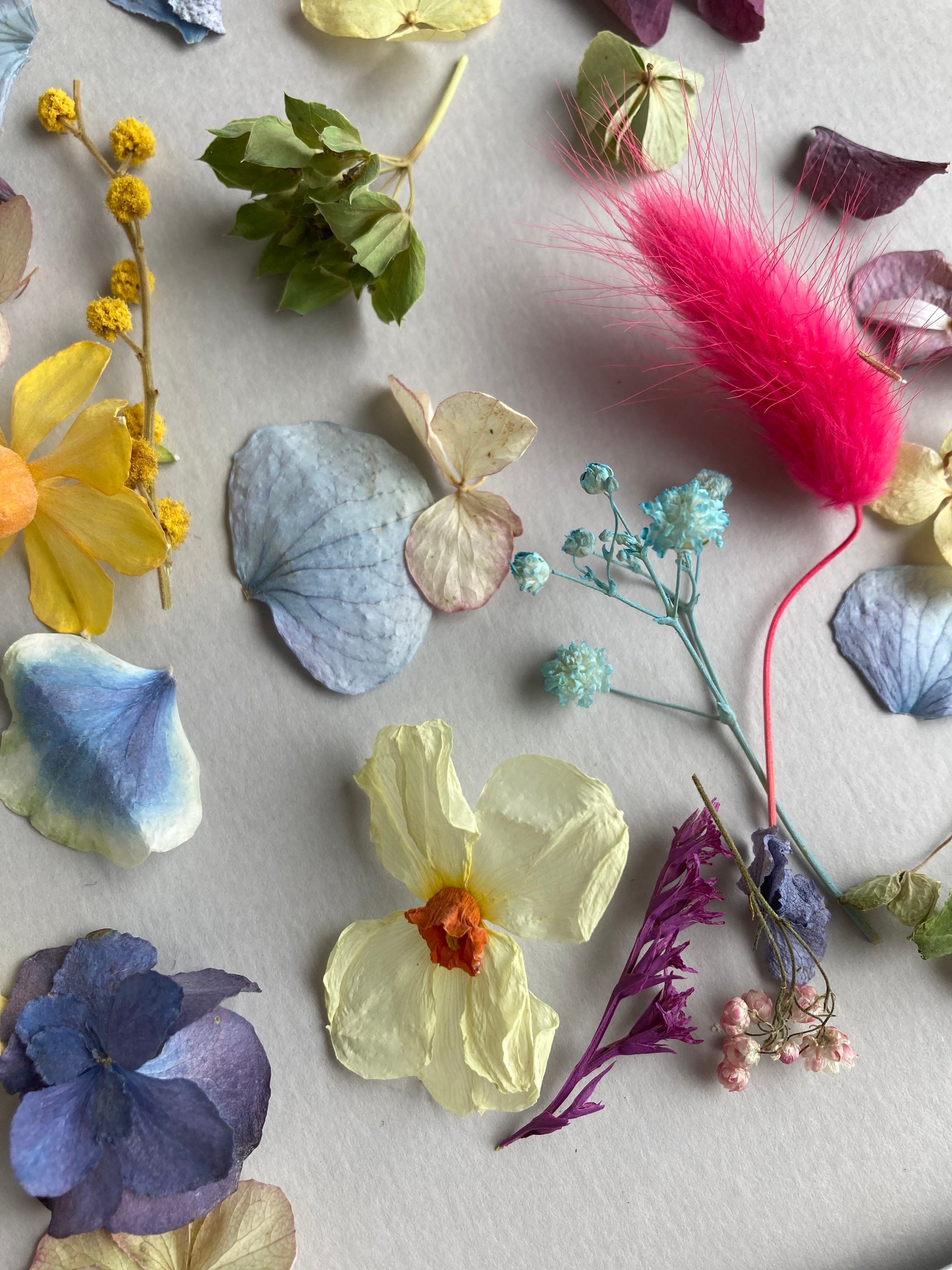 Small Dried Flowers Set for Resin 70 Pcs Thin Dried Flowers Etsy