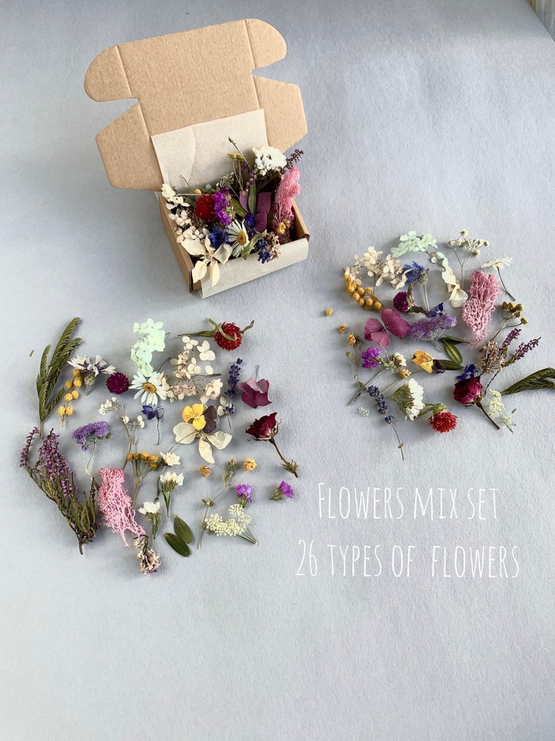 Dried flowers mix 40 pcs Dried mix flowers Dry flowers for Etsy
