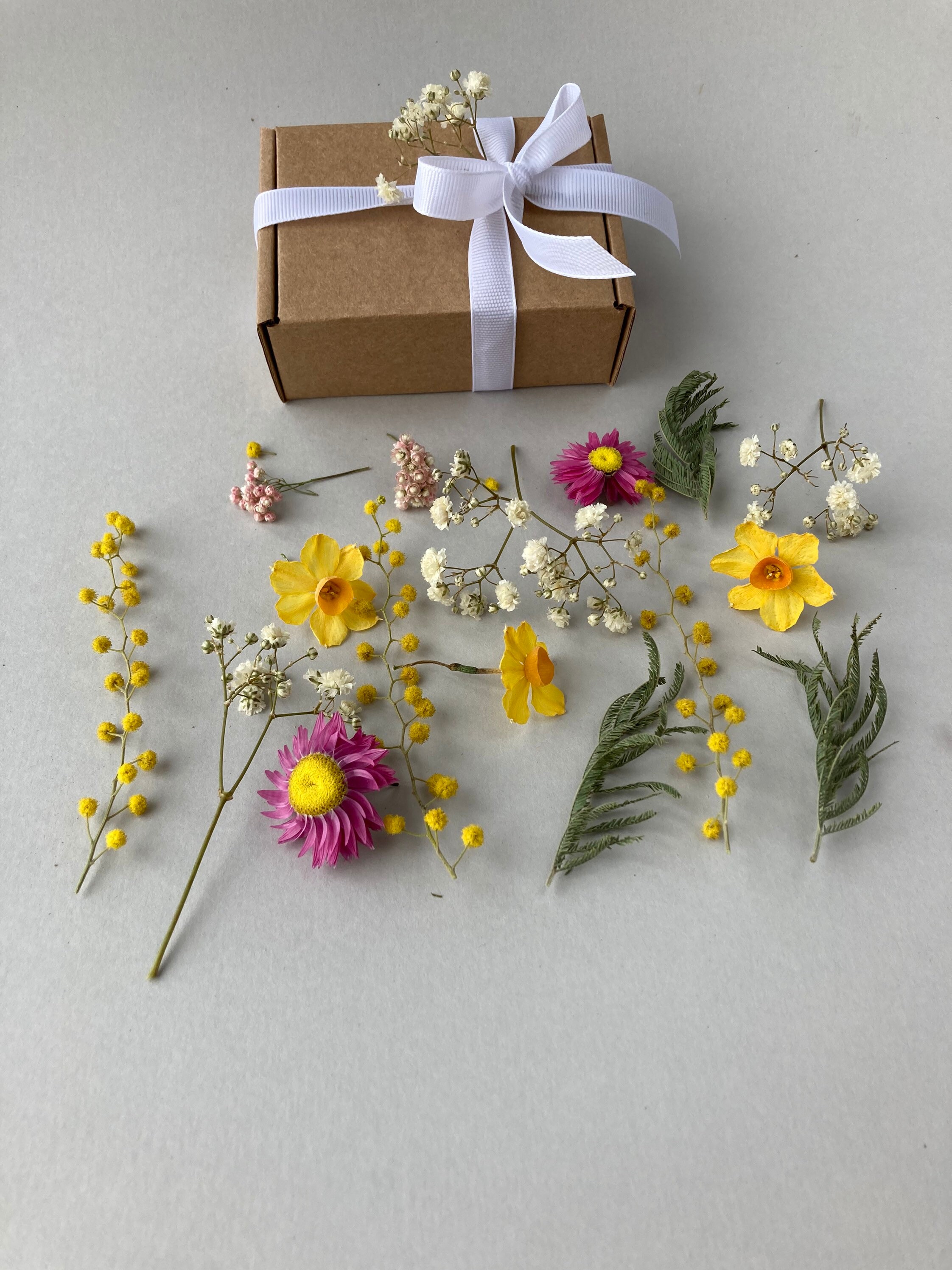 Dried Small Flowers for Resin Thin Dried Flowers for Resin Etsy