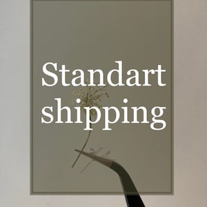 Może przedstawiać: Brązowy prostokąt z tekstem "Standart shipping" w białym kolorze czcionki.