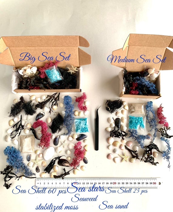 Small Sea Craft Set for Resin Jewelry Making Color Moss Sea Stars
