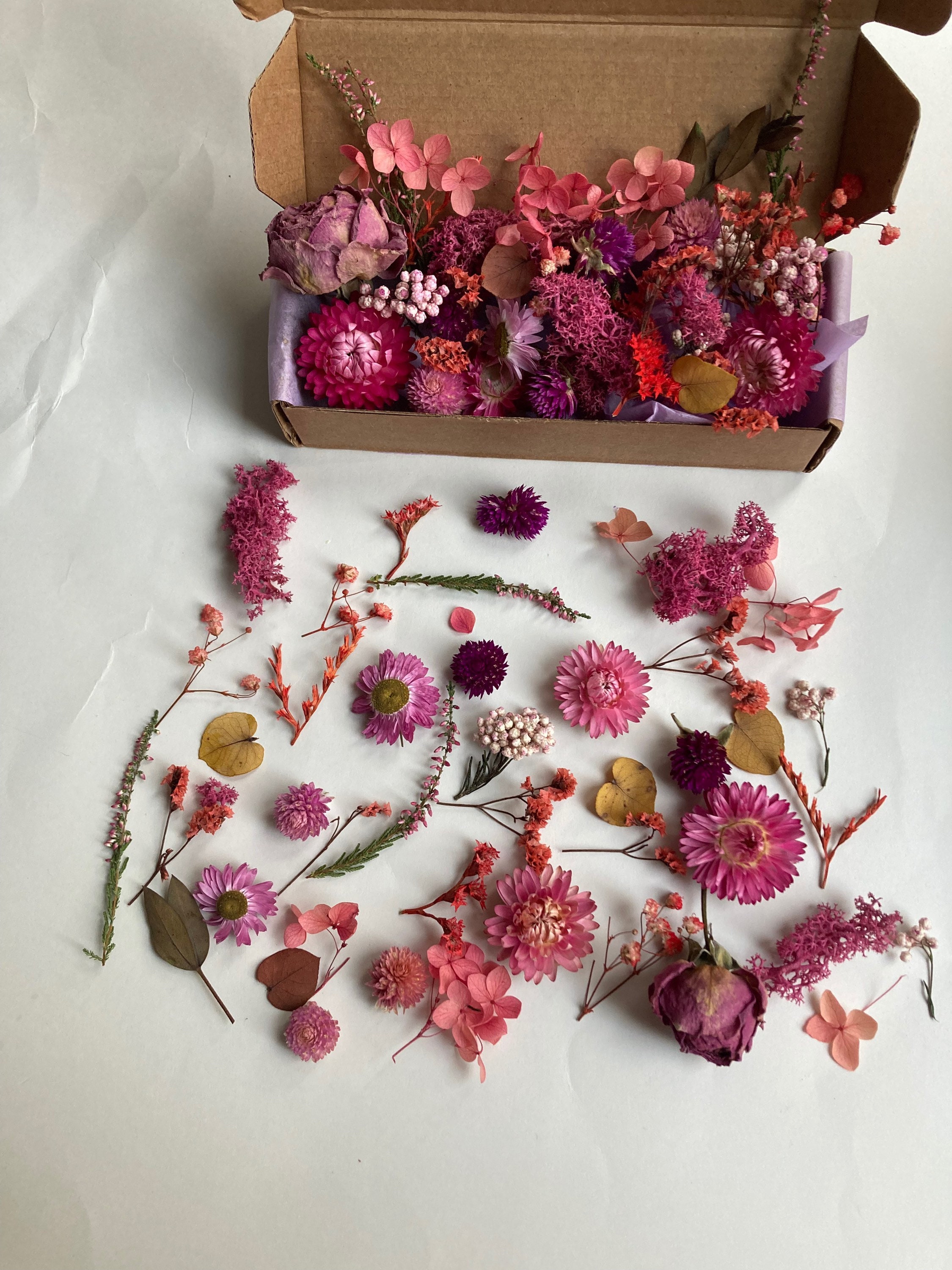 Tiny Flowers for Resin Dried Pink Roses Moss Dry Hydrangea Etsy