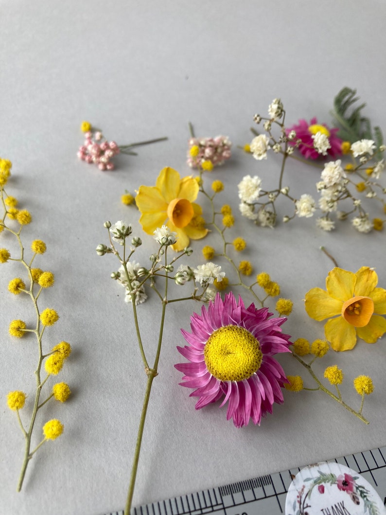 Dried small flowers for resin Thin dried flowers for resin Etsy