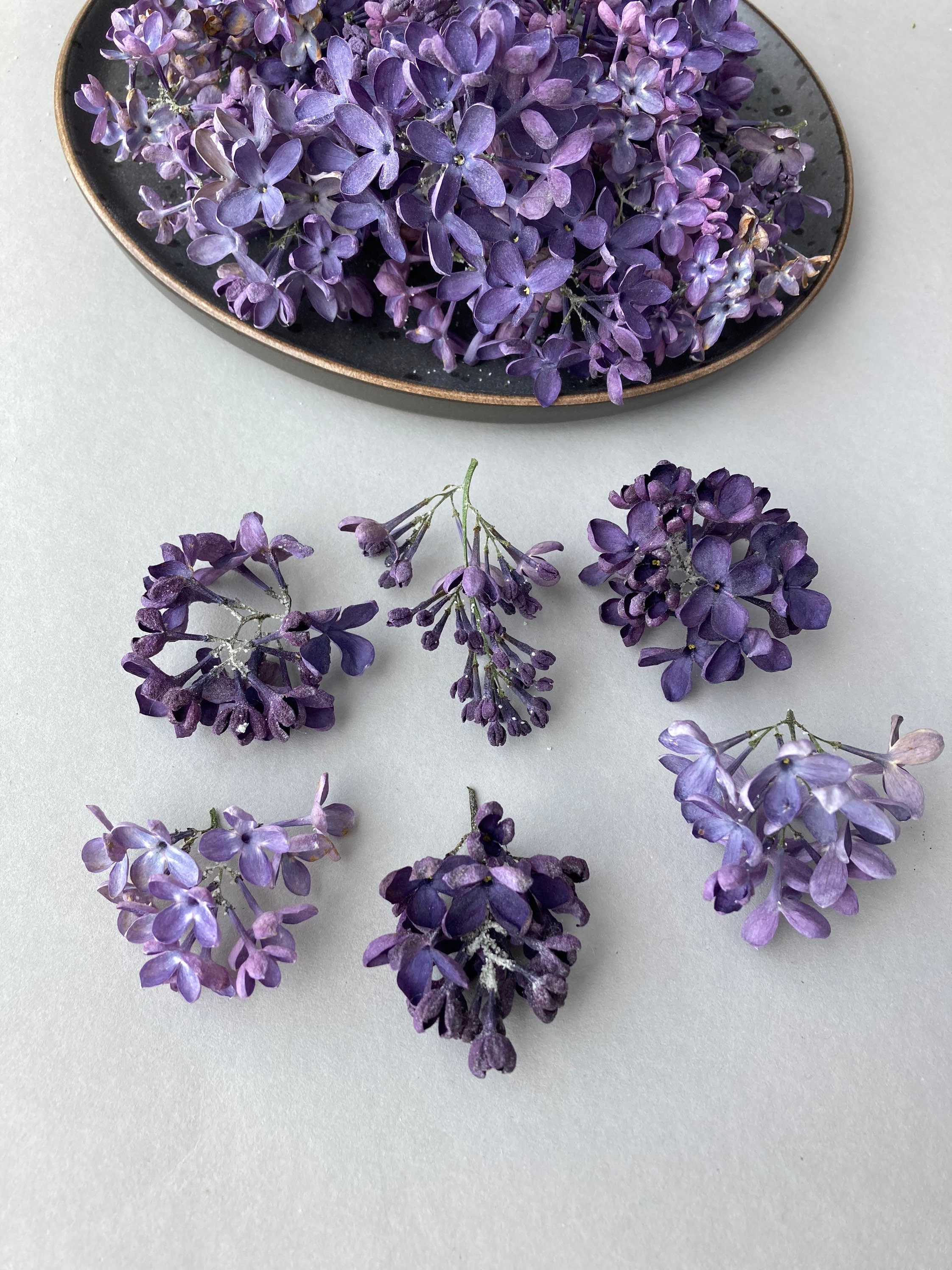 Dried flowers for resin Dried lilacs branches Purple lilacs Etsy