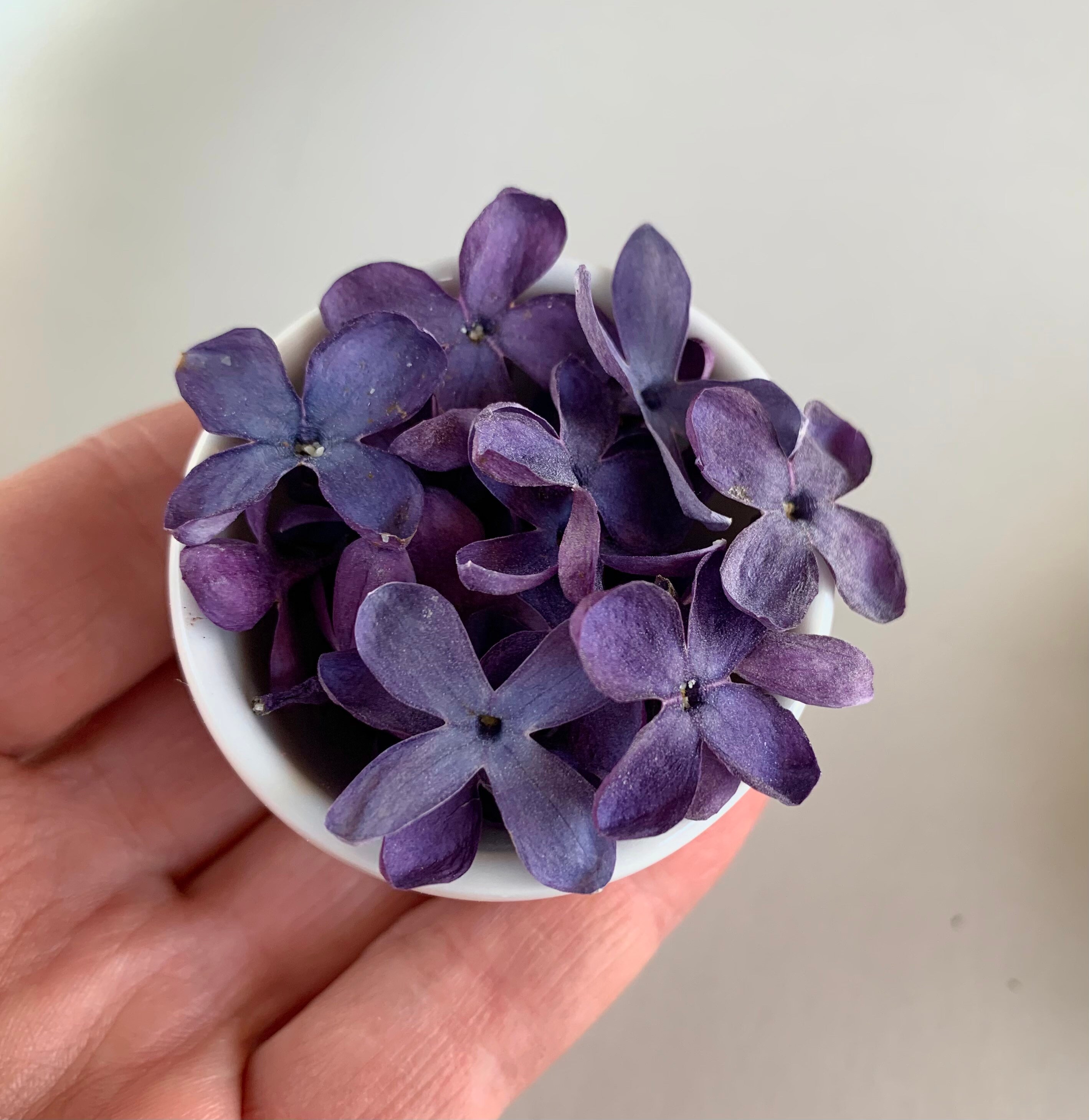 small dried flower bouquet for nationwide shipping – houseoflilac