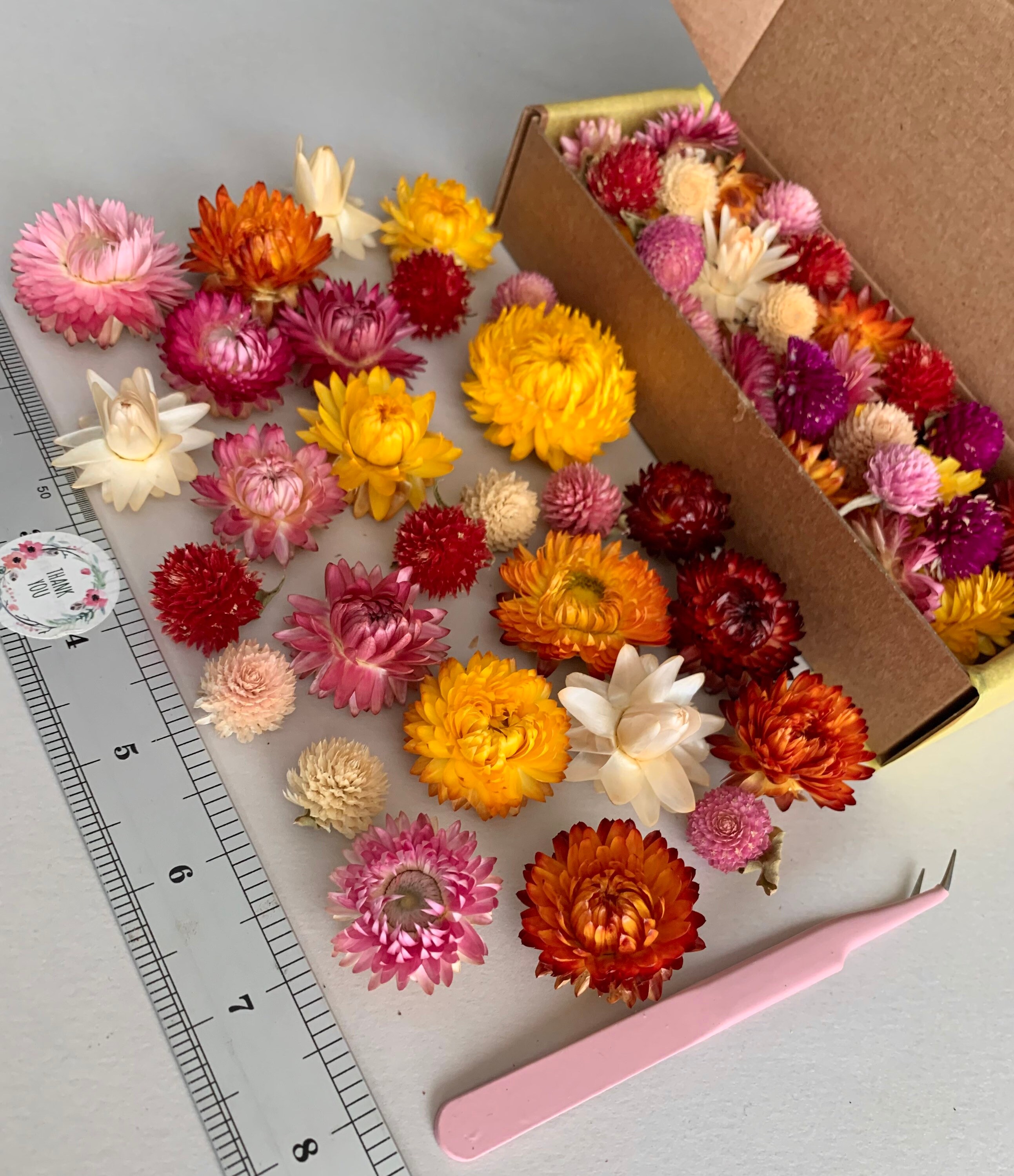 Tiny Flowers for Resin Dried Pink Gomphrena Strawflowers Dry Etsy