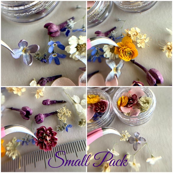Dried Small Flowers for Resin Tinest Dried Flowers for Resin Jewelry Resin  Supply Hydrangea Dried Different Flower Mix Dried Forget Me Nots 