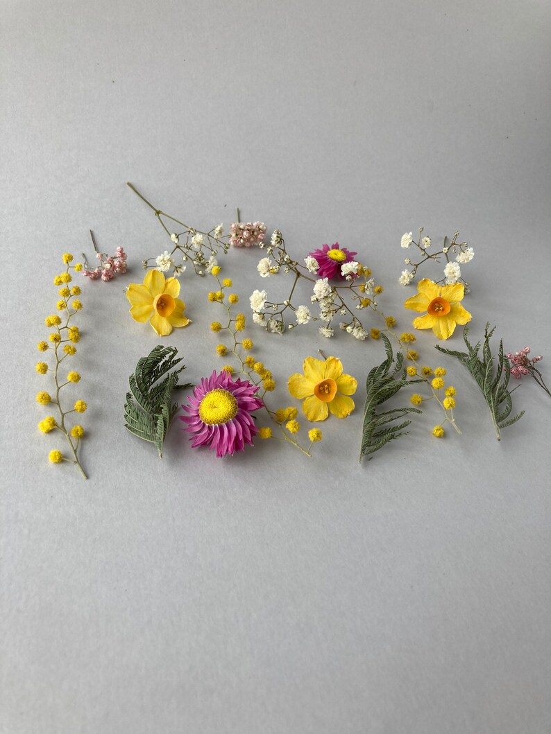 Dried Small Flowers for Resin Thin Dried Flowers for Resin Etsy