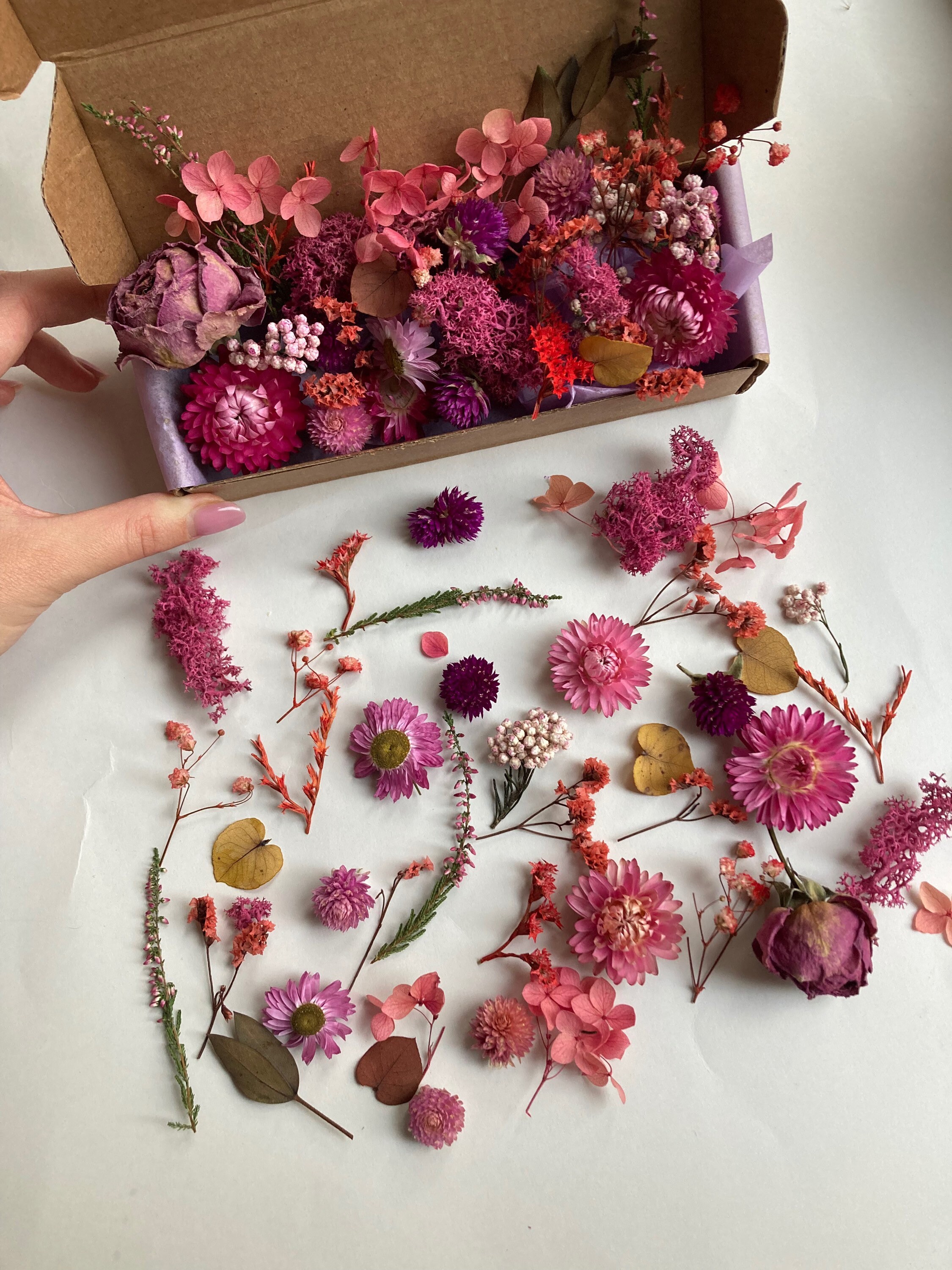 Tiny Flowers for Resin Dried Pink Roses Moss Dry Hydrangea Etsy