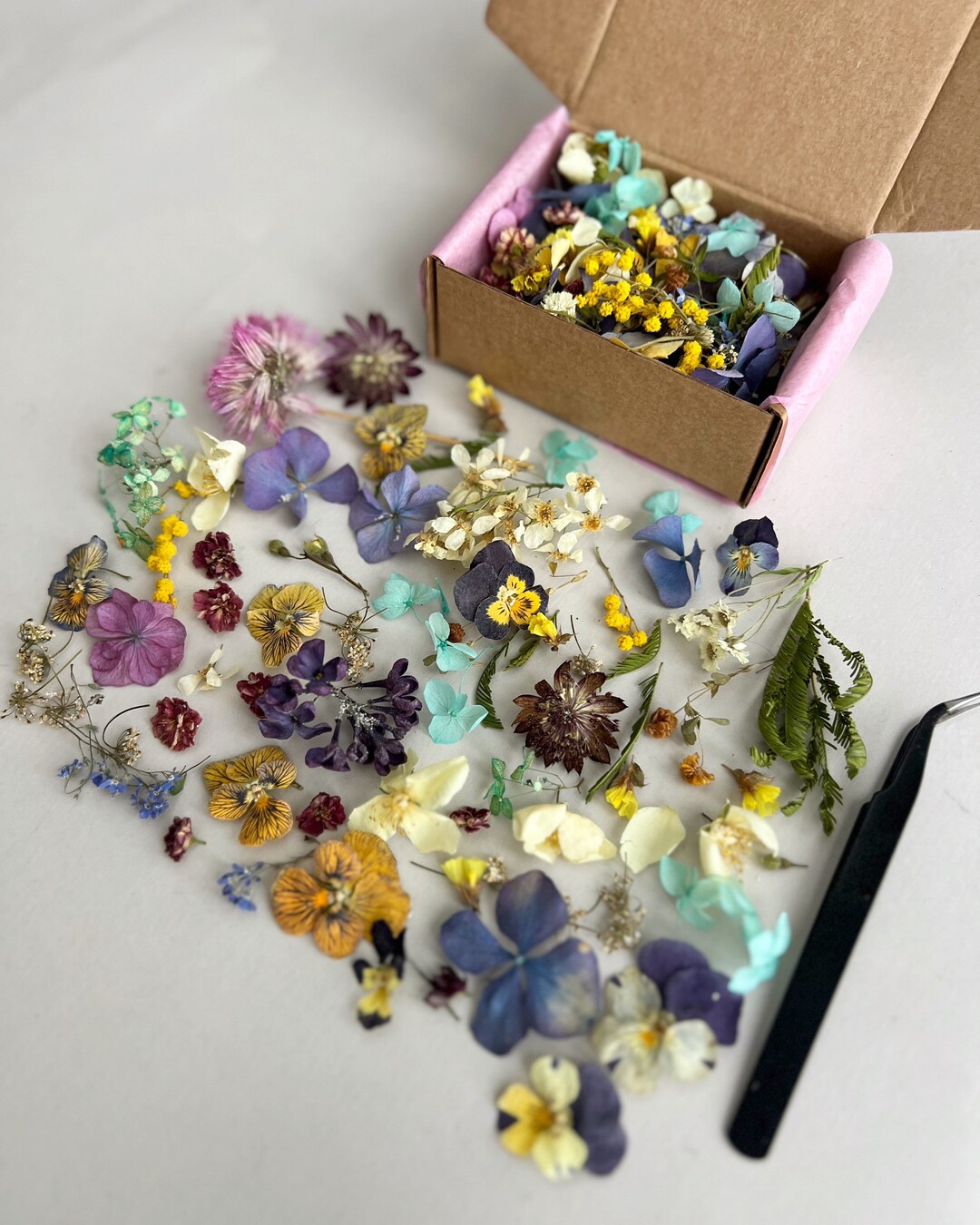 60 Dried Flowers Mix Dried Flowers for Resin Dry Flowers for Crafts