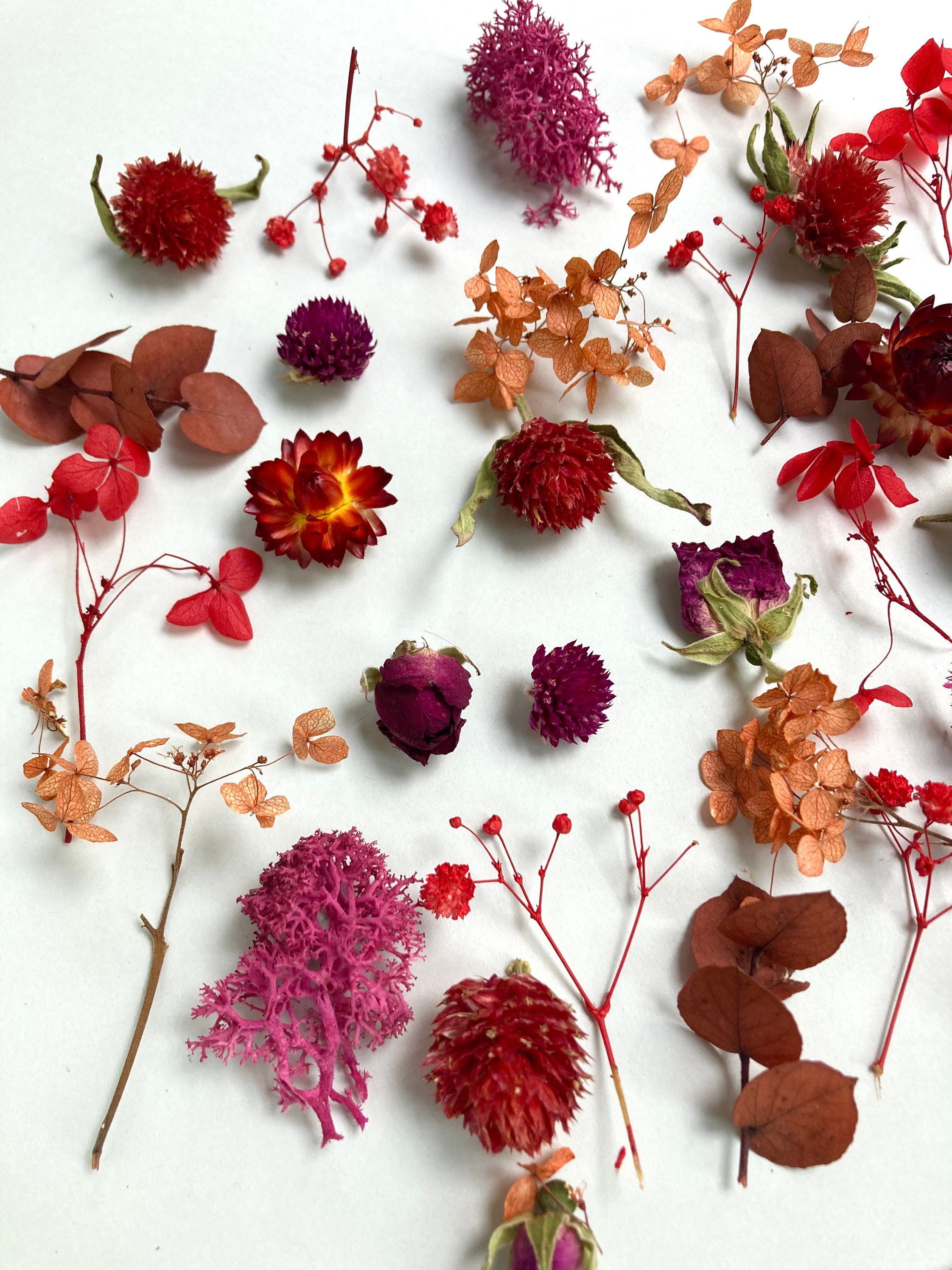 Tiny Flowers for Resin Dried Pink Gomphrena Strawflowers Dry