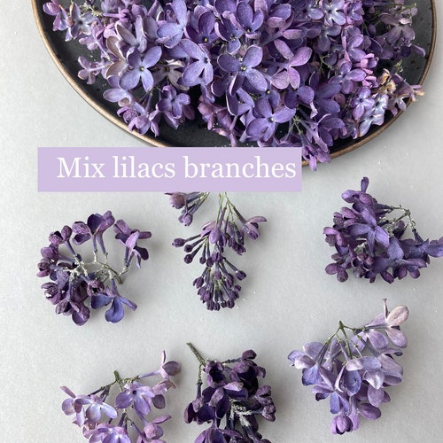 Tiny Flowers for Resin Dried Yellow Flowers Dry Achillea Etsy