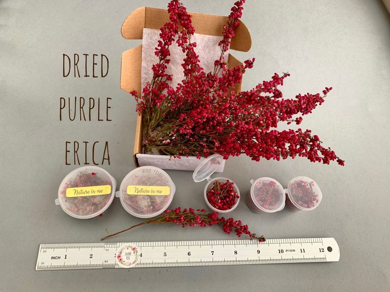 Dried Erica Flowers For Resin Mini Dried Pink Flowers Dried Etsy