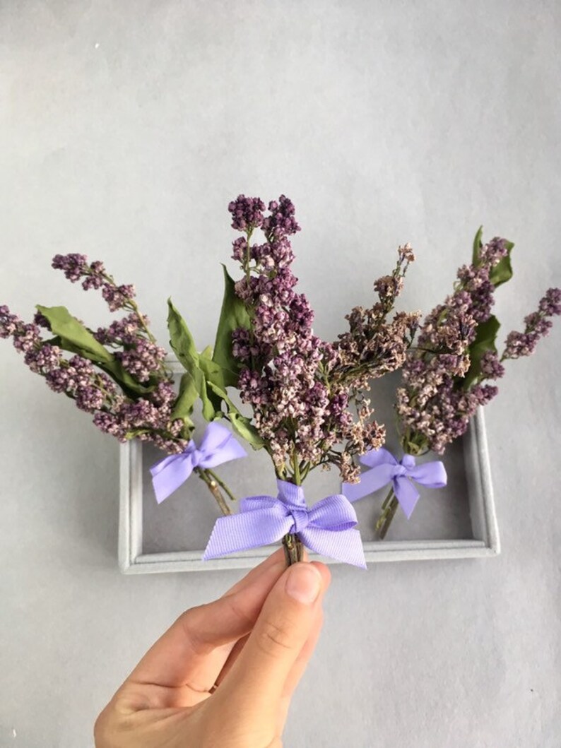 Dried Lilac Flowers Small dried flower bouquet Purple lilac Etsy