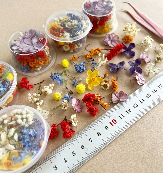 Dried Small Flowers for Resin Tinest Dried Flowers for Resin Jewelry Resin  Supply Mini Garden Different Flower Mix for Resin Blue Purple Red 