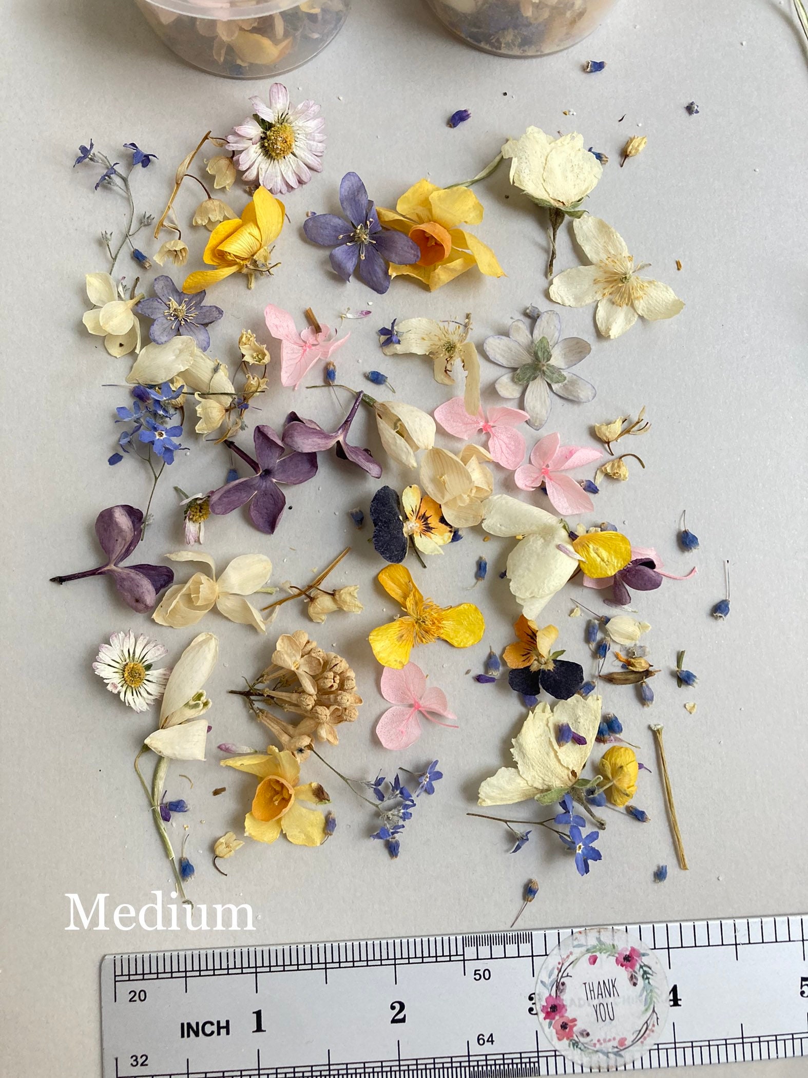 Dried Small Flowers for Resin Tiny Dried Flowers for Resin Etsy