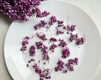 Dried pepperberries for resin Purple berries Small berry for epoxy Preserved berries Natural decor supply Craft supply berries Winter home