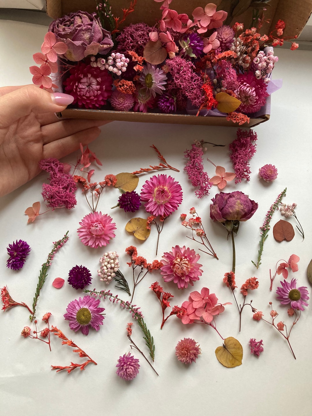 Tiny Flowers for Resin Dried Pink Roses Moss Dry Hydrangea Etsy