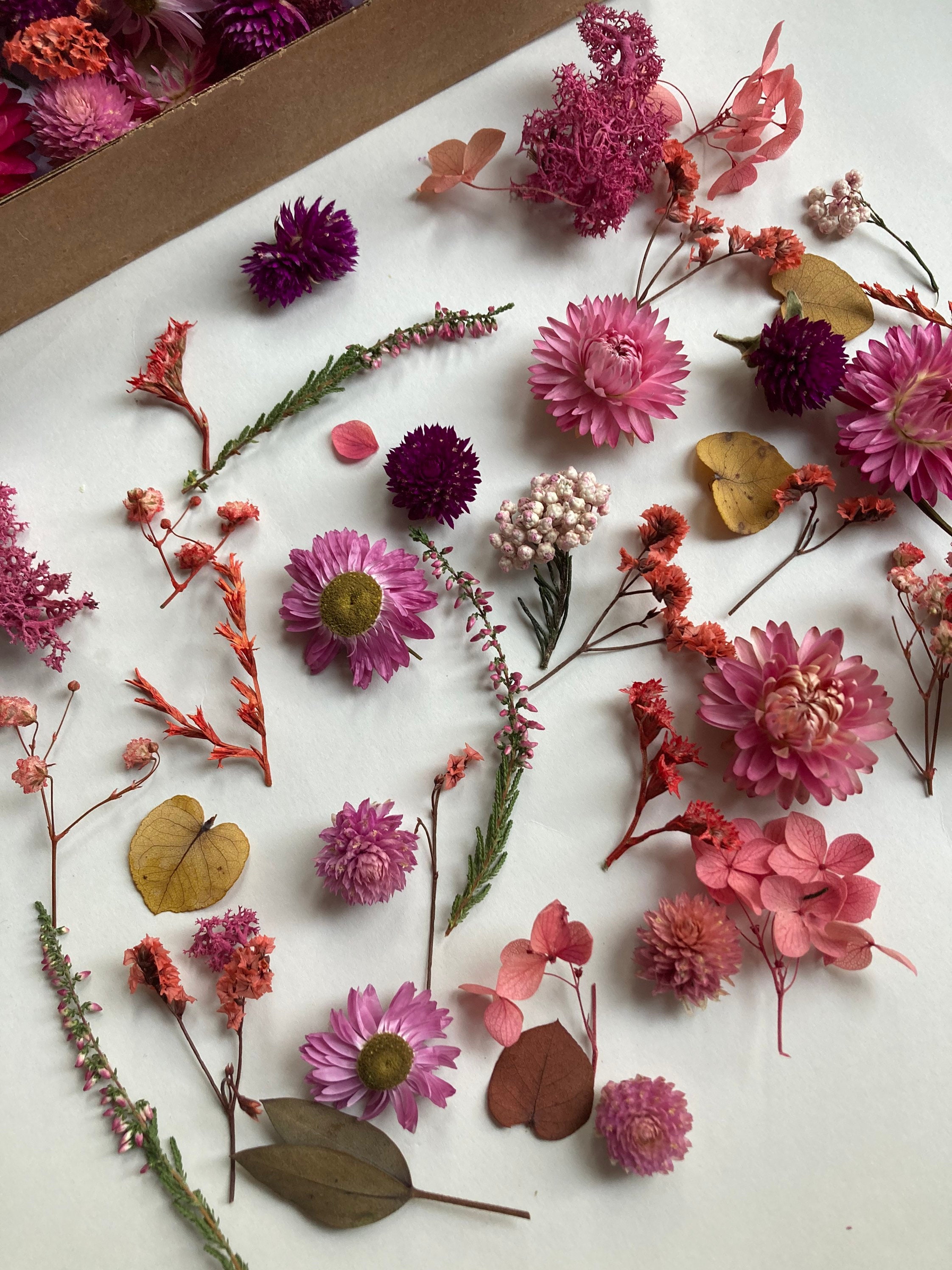 Tiny Flowers for Resin Dried Pink Roses Moss Dry Hydrangea Etsy