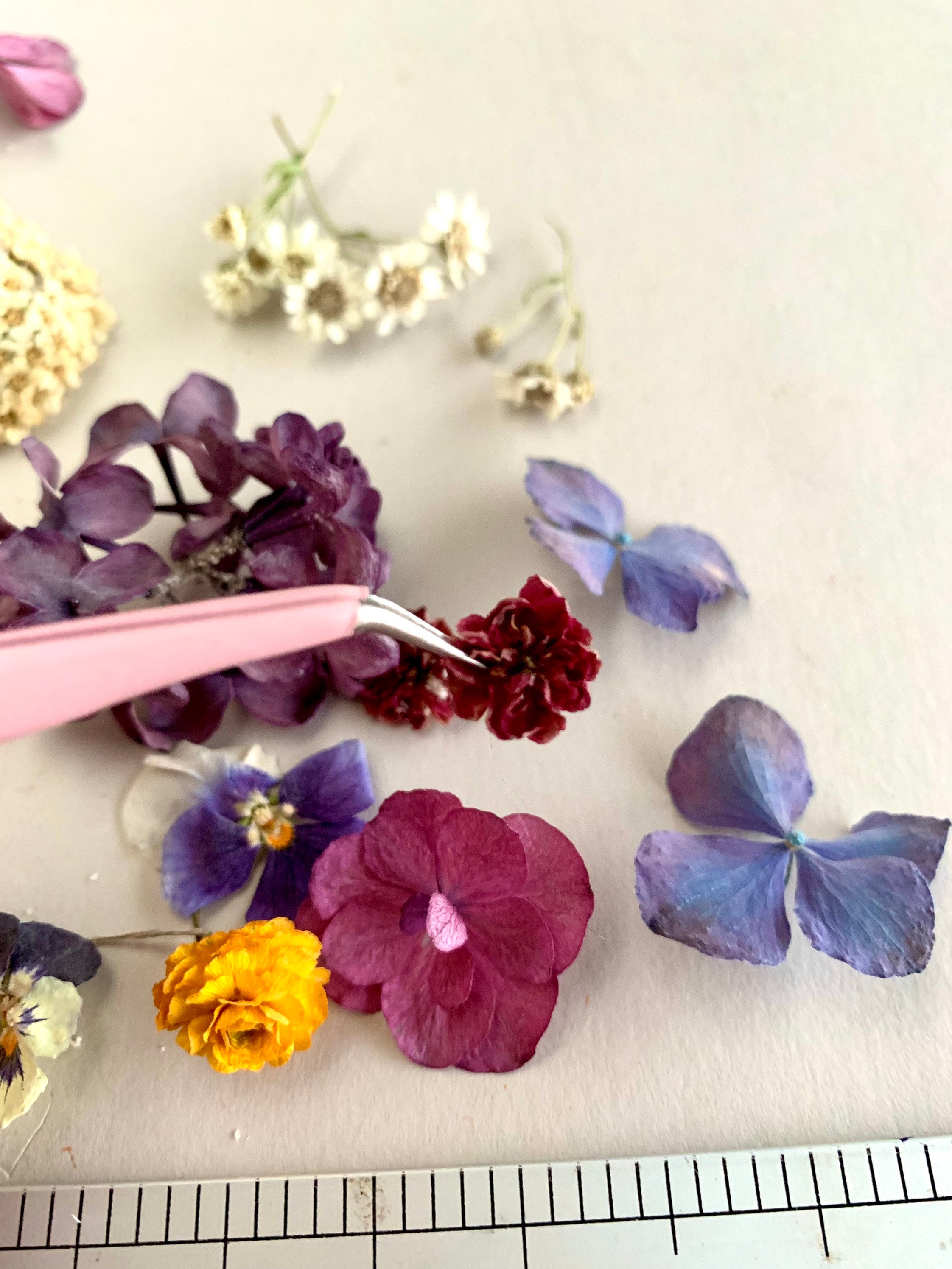Flores pequeñas secas para resina Flores secas más pequeñas para joyería de  resina Suministro de resina Mini jardín Mezcla de flores diferentes para  resina Azul púrpura rojo -  México