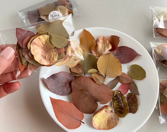 Eucaluptys dried leaves Orange dried leaves Decorative red leaves Smallest flowers for resin Dry eucaluptys leaves Resin plants Terracotta