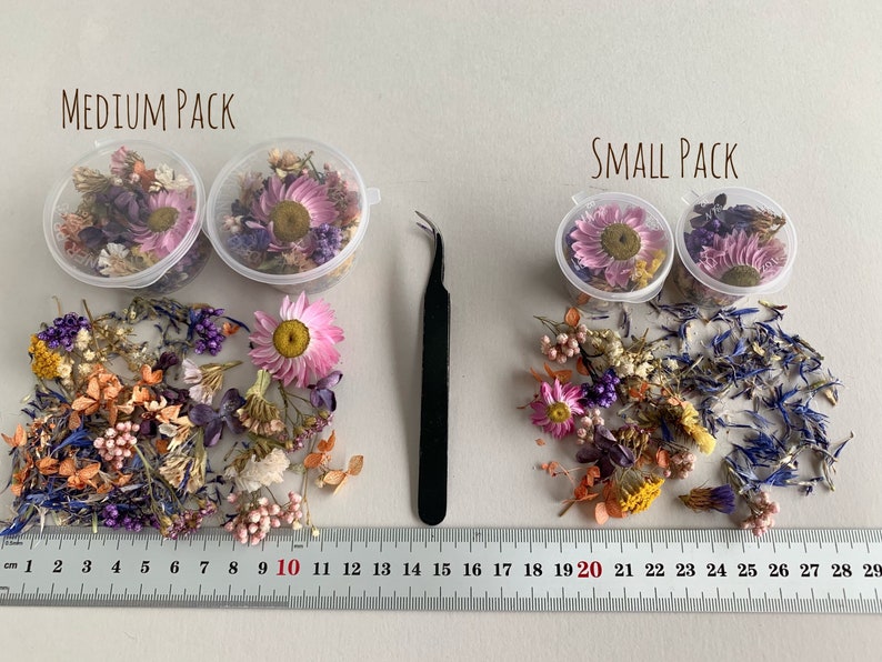 Dried Small Flowers for Resin Tinest Dried Flowers for Resin Etsy
