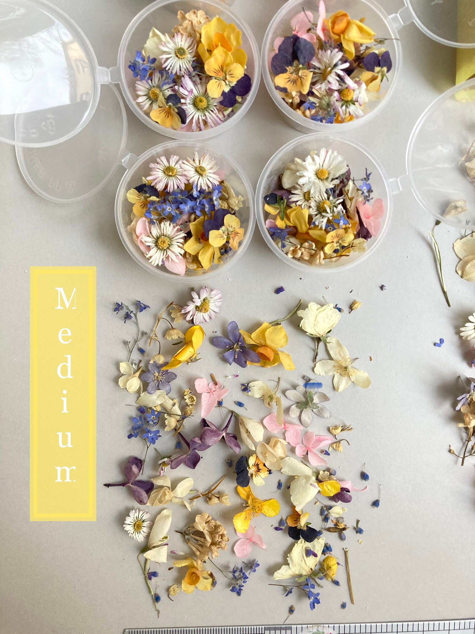 Dried Small Flowers for Resin Tiny Dried Flowers for Resin Etsy