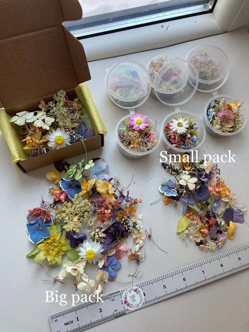 Dried Small Flowers for Resin Tinest Dried Flowers for Resin Etsy