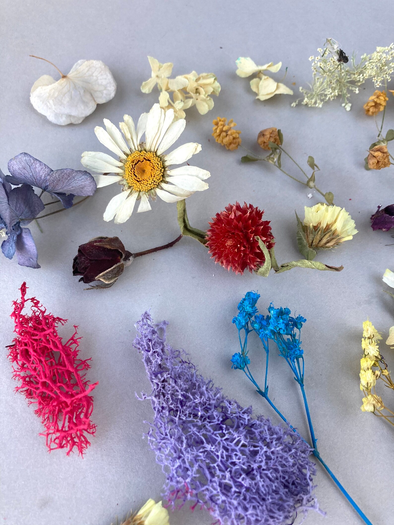 Dried Flowers Mix Tiny Flowers for Resin Dry Flowers for Etsy