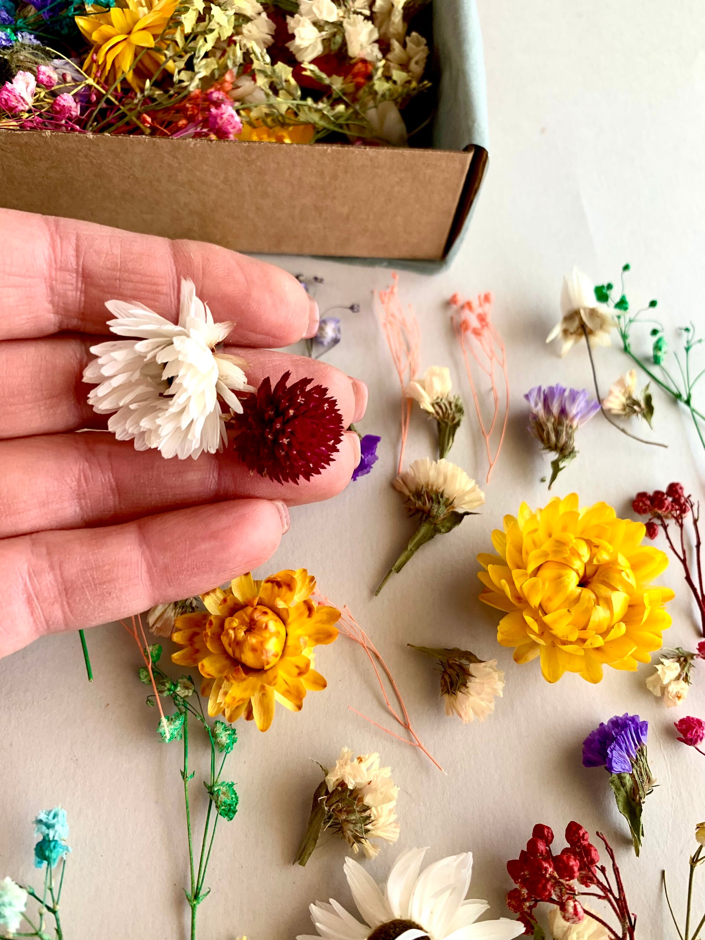 70 Tiny Flowers for Resin Dried Pink Roses Moss Dry Etsy