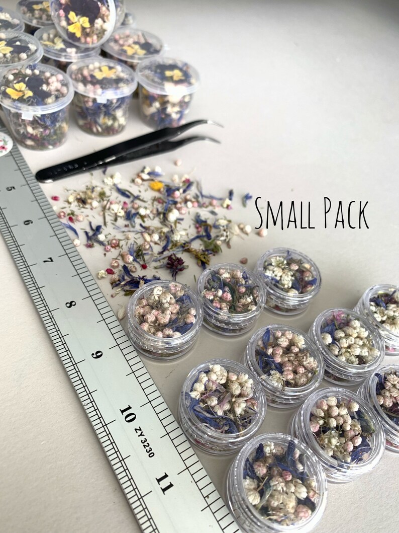 Dried Small Flowers for Resin Tinest Dried Flowers for Resin Etsy