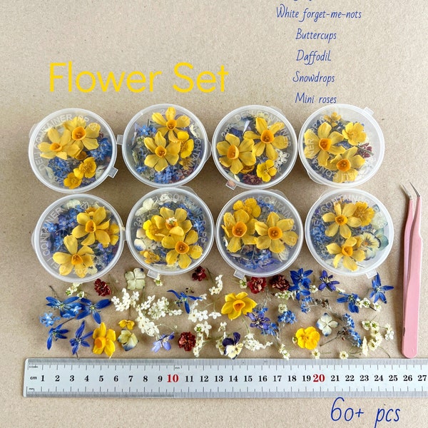 Dried small flowers for resin Tinest dried flowers for resin jewelry Resin supply Hydrangea Dried Different flower mix Dried forget me nots