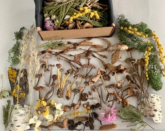 60+Dried mushrooms Tiny mushrooms Dried moss Acons Resin Terrarium plants Moss Plants set in box Wild Flower mix Craft sipply